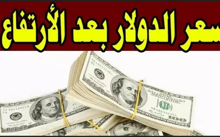 أعلى سعر للدولار اليوم في السوق السوداء مقابل الجنيه المصري السبت 1 فبراير 2025 البنك المصري وبنك مصر