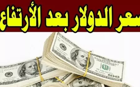 سعر الدولار اليوم في السوق السوداء مقابل الجنيه المصري الجمعة 7 فبراير 2025 اسعار الدولار في البنوك