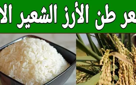 رفيع والعريض الحبه.. سعر طن الأرز الشعير اليوم الأربعاء 12 فبراير 2025 اسعار الارز في الاسواق للمستهلك