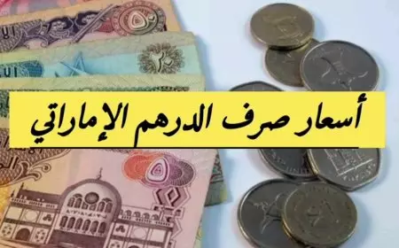 سعر الدرهم الإماراتي اليوم مقابل الجنيه المصري الثلاثاء 25 فبراير 2025 وفق اخر تحديث في البنوك المحلية والسوق السوداء