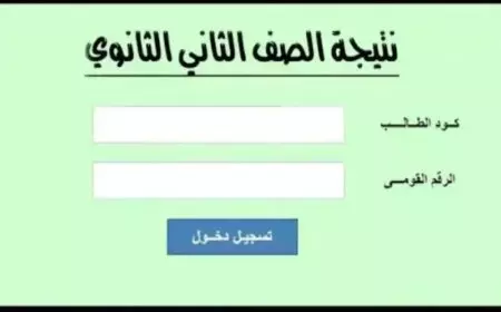 موقع وزارة التربية والتعليم نتيجة الصف الثاني الثانوي 2025 بالاسم عبر بوابة التعليم الأساسي