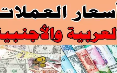 اسعار العملات اليوم في السوق السوداء في مصر الاحد 9 فبراير 2025 الدولار واليورو والريال الأن في البنوك