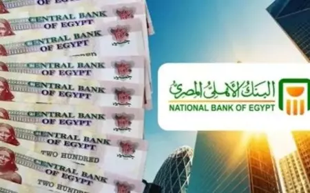 (المكسب مضمون) شهادات البنك الأهلي المصري 2025 بأعلي عائد استثمار آمن بعوائد تنافسية 27% الى 30%