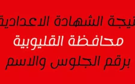 نتيجة الصف الثالث الاعدادي محافظة القليوبية 2025 برقم الجلوس على لينك natiga.qalubiaedu.org مديرية التربية والتعليم