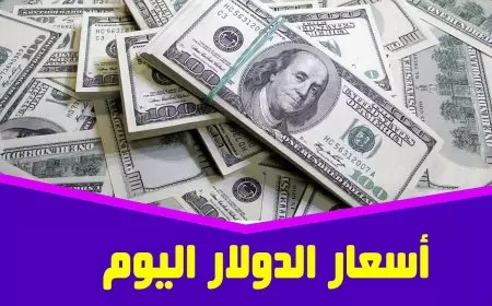 سعر الدولار اليوم في السوق السوداء الأحد 9 فبراير 2025 اسعار صرف الدولار في البنوك المصرية