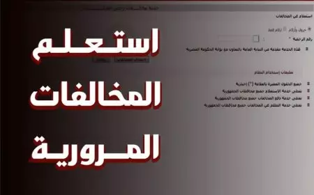 استعلام عن مخالفات المرور برقم لوحة السيارة 2025 عبر موقع النيابة العامة ppo.gov.eg خدمات المرور