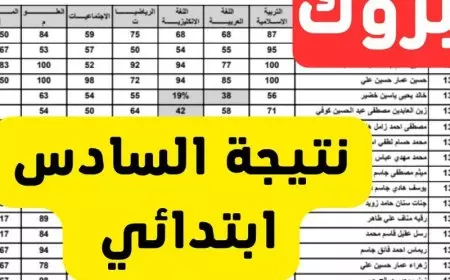 نتائج السادس العراق 2025 كيفية الاستعلام عبر الموقع الرسمي لوزارة التربية العراقية
