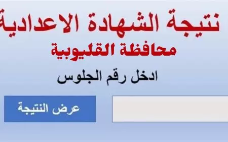 رابط وموعد نتيجة الشهادة الإعدادية الترم الثاني 2025 محافظة القليوبية ونسبة النجاح وتوزيع الدرجات