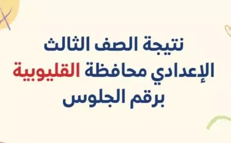 رابط صاروخ.. نتيجة الشهادة الاعدادية 2025 محافظة القليوبية بالاسم وبرقم الجلوس عبر موقع مديرية التربية والتعليم