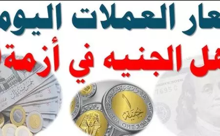 اسعار العملات اليوم مقابل الجنيه المصري في السوق السوداء في مصر الجمعة 7 فبراير 2025 حالة تذبذب في البنوك