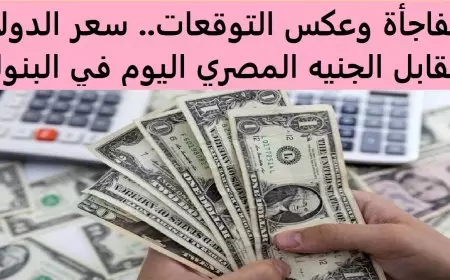 سعر الدولار اليوم في السوق السوداء الاربعاء 5 فبراير 2025 مقابل الجنيه المصري في البنوك