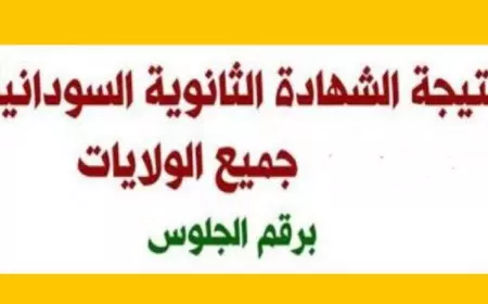 نتيجة الشهادة السودانية 2025 برقم الجلوس عبر موقع وزارة التربية والتعليم mohe.gov.sd