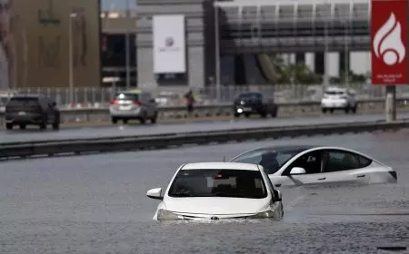 28 قتيلاً بسبب ضحايا الأمطار الغزيرة في بوليفيا