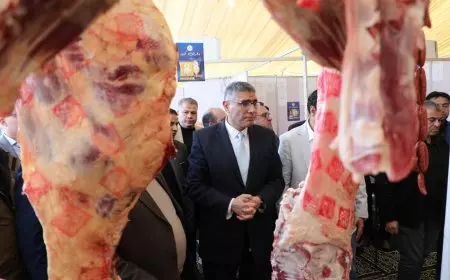 محافظ الجيزة يفتتح التشغيل التجريبي لـ ٣ معارض أهلا رمضان