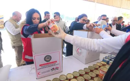 نائب بالشيوخ: مصر قدمت نموذجا لا يستهان به في دعم غزة إغاثيًا وسياسياً