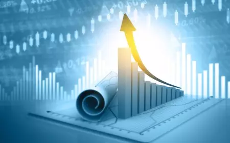 يمن الحماقي: طاقات بشرية هائلة غير مستغلة في زيادة الناتج المحلي