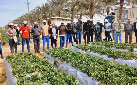 وزير الري: دعم الأشقاء الأفارقة بتنفيذ برامج تدريبية لتأهيل الكوادر البشرية