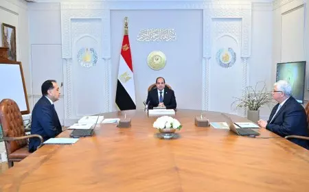 الرئيس السيسي يجتمع برئيس الوزراء ووزير التعليم العالي