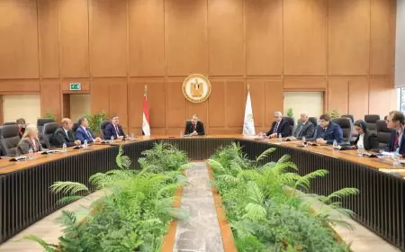 التعليم العالي: اجتماع مشترك لقيادات الوزارة مع أعضاء البعثة التعليمية البريطانية