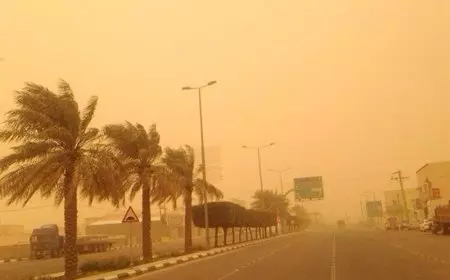 أمشير أبو الزعابيب.. موعد بداية موجة الرياح وتفاصيل طقس آخر شهر طوبة