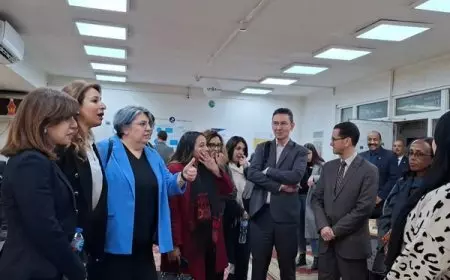 الطفولة والأمومة يستقبل وفدًا من اليونسيف للتعرف على تجربة مصر في القضاء على ختان الإناث