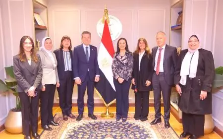 وزيرة التضامن تبحث مع منسق الإغاثة بالأمم المتحدة الوضع الإنساني بغزة