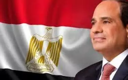 الرئيس السيسي يؤكد أهمية تعزيز أنشطة شركة أباتشي في مصر
