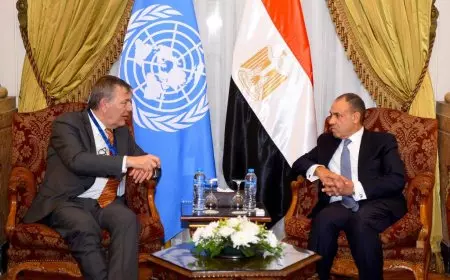 وزير الخارجية: مصر تعمل على تطوير تصور شامل لإعادة إعمار غزة دون تهجير السكان