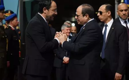 الرئيس السيسي ونظيره القبرصي يشهدان توقيع عدد من اتفاقيات التعاون بمجال الطاقة
