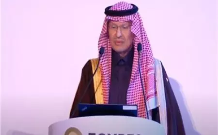 وزير الطاقة السعودي يوجه رسالة محبة للمصريين: مصر كلها حاجة حلوة