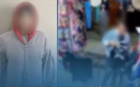 الكاميرات فضحتها.. القبض على المتهمة بالسرقة من داخل المحلات بالإسكندرية| فيديو