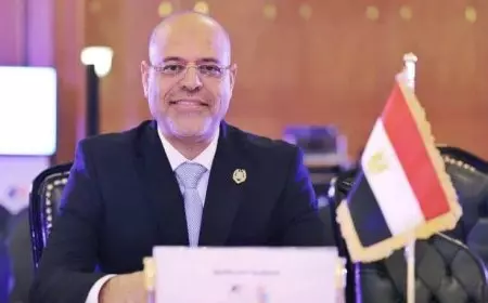 وزير العمل: مليون و800 ألف جنيه تعويضات لأسر 9 من العمالة غير المنتظمة ضحايا حادث بالمنيا