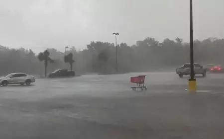 دافئ نهارًا بارد ليلًا.. الأرصاد تكشف حالة طقس الأربعاء