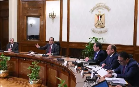 رئيس الوزراء يترأس الاجتماع الأسبوعي للحكومة بالعاصمة الإدارية الجديدة