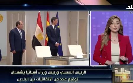 فاتن عبدالمعبود تكشف تفاصيل زيارة الرئيس السيسي لإسبانيا