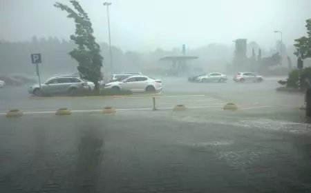 أجواء جوية مضطربة.. تفاصيل حالة الطقس اليوم الخميس 20 فبراير 2024