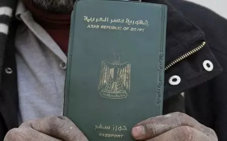 دور المصريين في الخارج وتأثيرهم على السياسة الدولية