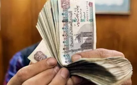 عائد 30%.. أعلى شهادة ادخار في البنوك الحكومية قبل قرار البنك المركزي