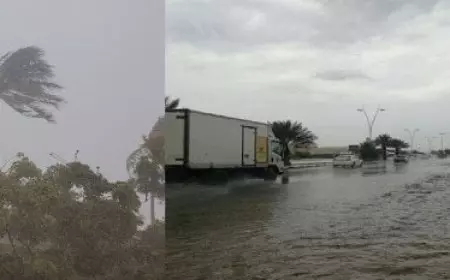 ريمونتادا شتوية والجو هيقلب تلج.. الأرصاد تكشف توقعات طقس الـ6 أيام المقبلة