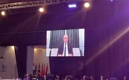 وزير الخارجية والهجرة يشارك بكلمة مسجلة في الاجتماع الأول لوزراء خارجية مجموعة العشرين