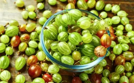 مين كان يصدق؟ نبات بسيط العطارين مش مصدقين فويده! يحارب السرطان، يقوي العظام، ينقّي الكبد والكلى، ويريّح المعدة