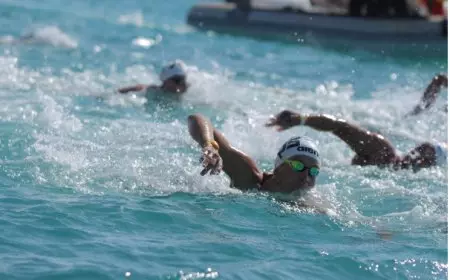 منتخب مصر للناشئين والناشئات ضمن العشرة الأوائل في كأس العالم للسباحة