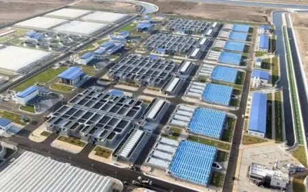 التهجير الطوعي مؤامرة إسرائيلية-أمريكية لتصفية القضية الفلسطينية.. عرض تفصيلي مع روان أبو العينين