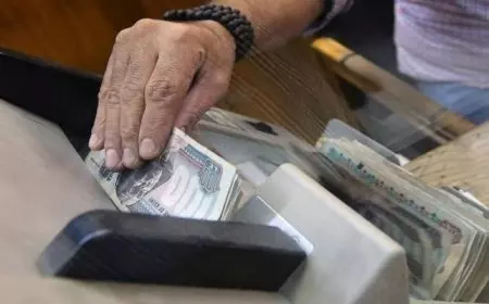 غدا صرف مرتبات شهر فبراير 2025 للموظفين بالدولة