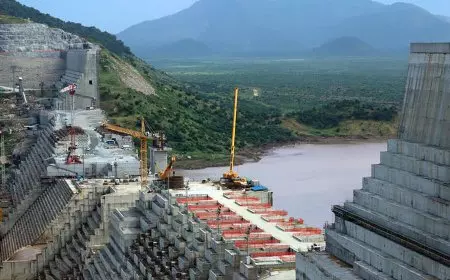 وزير الري: مصر تعاملت مع ملف سد النهضة بضبط النفس.. والنيل شريان الحياة لدول الحوض