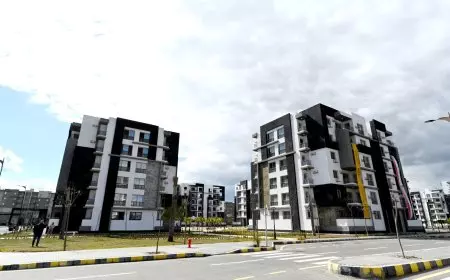 وزير الإسكان يتفقد مشروعي الفيلات وجنة بالمرحلة الأولى وطريق 27 بمدينة المنصورة الجديدة