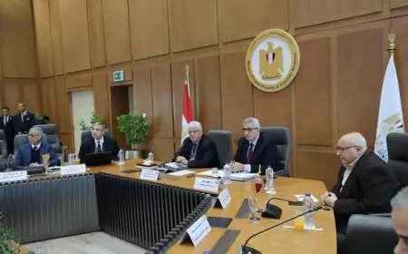 التعليم العالي تعتمد قراري إنشاء فرعي جامعة القاهرة بالرياض والدوحة