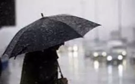 تحت الصفر.. الأرصاد تحذر من صقيع اليوم وتكشف موعد انتهاء الموجة