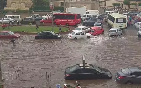 هل تستمر موجة الصقيع في شهر رمضان؟.. الأرصاد تعلن مفاجأة