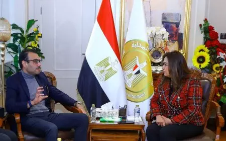وزيرة التنمية المحلية تبحث تعزيز التعاون مع بنك الطعام المصري